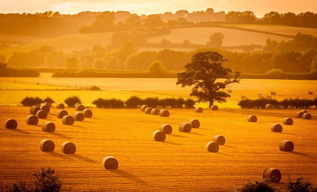 d5c8912ac9087559afa6bc2680aeed83dbdbfd21-2